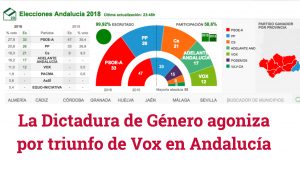 La Dictadura de Género agoniza por el triunfo de Vox en Andalucía: el Juez Serrano, listo para el contraataque (vídeo)