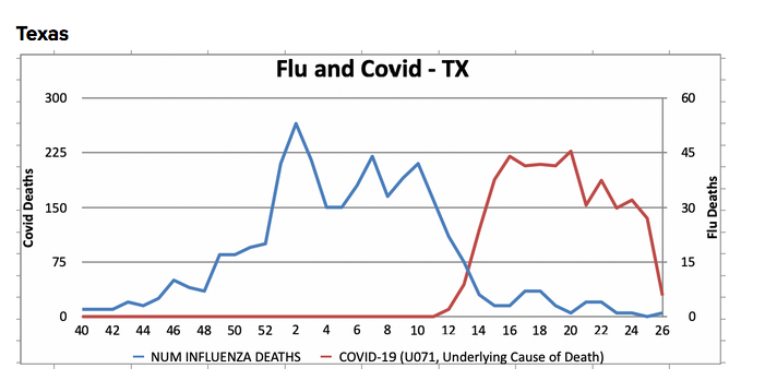 Incuestionables gráficas de defunciones en varios estados USA demuestran que cuando apareció el Covid se dejaron de reportar muertes por gripe