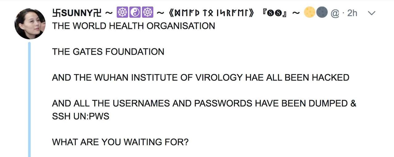 ¡Se anuncia que ¡la Organización Mundial de la Salud, la Fundación Gates y el Instituto de virologia de Wuhan han sido hackeados!