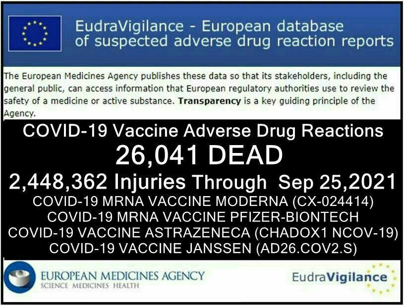 Un trabajador de Pfizer ha revelado que la cifra real de muertos por la «vacuna» solamente en la primera semana desde el pinchazo es de 200.000